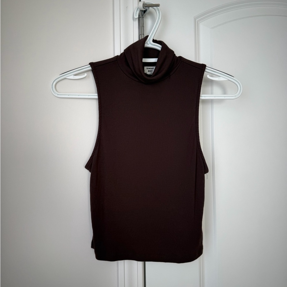 Aritzia Sleeveless Turtleneck Top